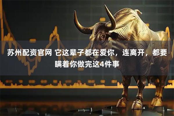 苏州配资官网 它这辈子都在爱你，连离开，都要瞒着你做完这4件事