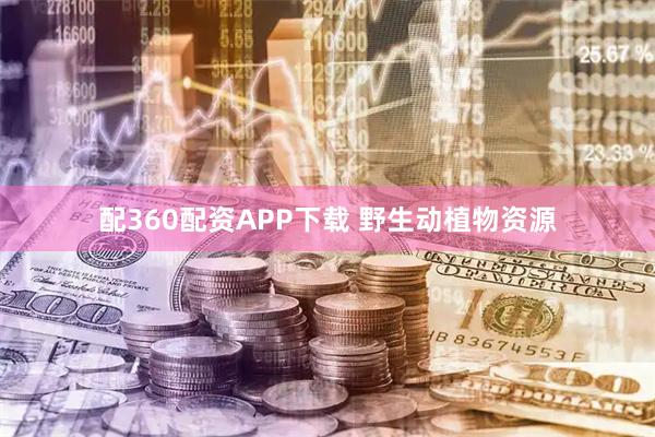 配360配资APP下载 野生动植物资源