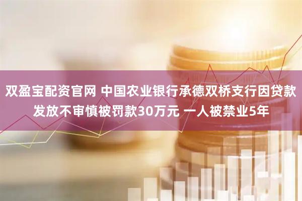 双盈宝配资官网 中国农业银行承德双桥支行因贷款发放不审慎被罚款30万元 一人被禁业5年