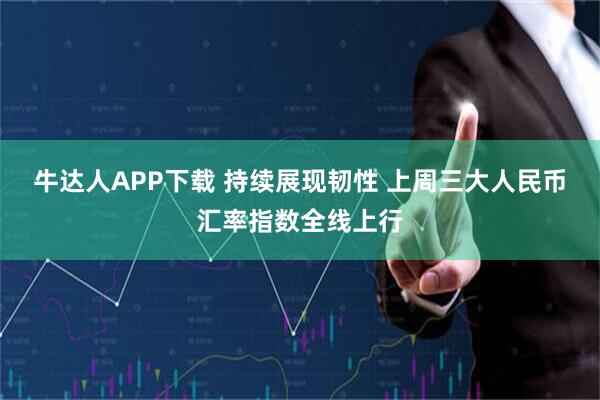 牛达人APP下载 持续展现韧性 上周三大人民币汇率指数全线上行