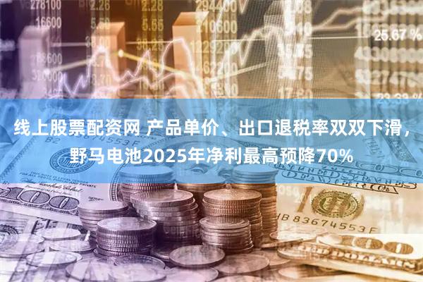 线上股票配资网 产品单价、出口退税率双双下滑，野马电池2025年净利最高预降70%