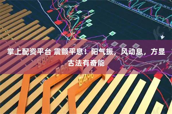 掌上配资平台 震颤平息！阳气振，风动息，方显古法有奇能